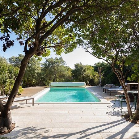Villa Terra Di Sole Pianottoli-Caldarello  Exterior foto